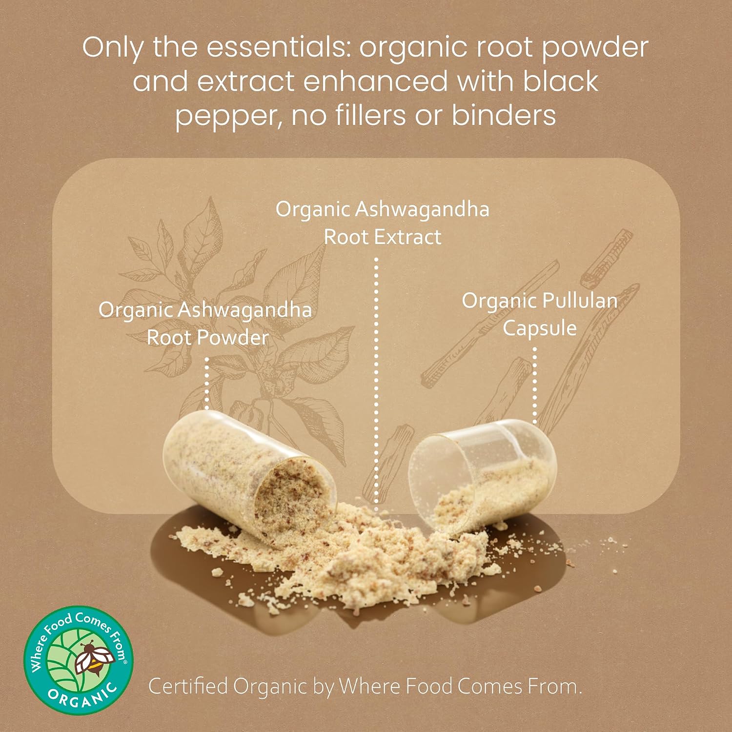 Organic Ashwagandha 2100 mg Capsules – Full Spectrum